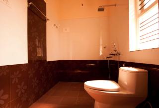 Dandeli Chalet - Dandeli - 4