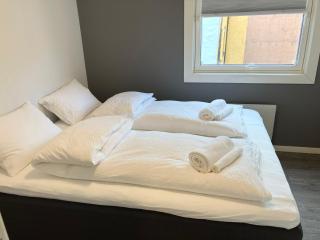 3BR Penthouse in city center with free parking - Oslo - 2