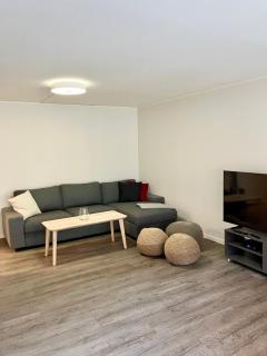 3BR Penthouse in city center with free parking - Oslo - 5