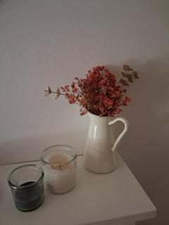 Can Vibru Vilallonga - 3