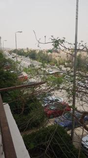 مدينة الشيخ زايد - Sheikh Zayed - 3