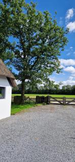 Bed and Breakfast 't Klokhuis - Langedijke - 7
