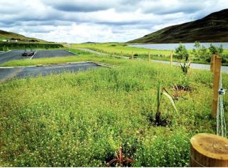 Scalloway Caravan Park - 4