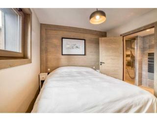 Luxurious 4-room with pool, gym, spa and parking - Megève - 5
