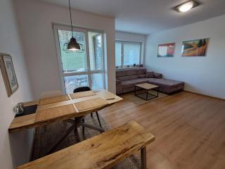 Apartment SKI-BIKE-HIKE 2, Vyšné Ružbachy - Vyšné Ružbachy - 7