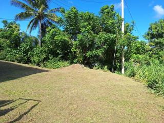 Paradise Villa - 2