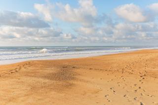Le Landais - Wifi - Terrasse - Plage - 3
