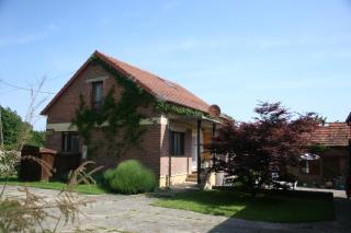 Villa Rustica - Hruškovica - 2