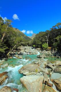Milford Road Apartments - Te Anau - 6