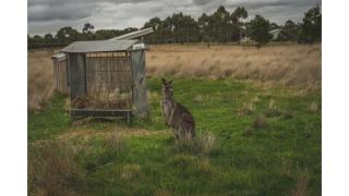 Altitude - A Tiny House Experience in a Goat Farm by Tiny Away - 2