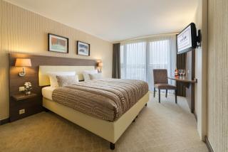 Parkhotel Luise Bad Herrenalb - Bad Herrenalb - 2