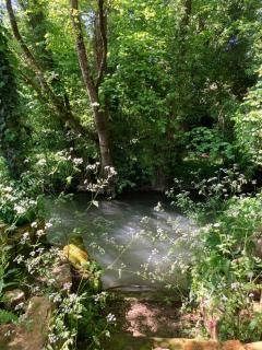 Séjour au bord de l'eau - Saint-Maixent-lʼÉcole - 9