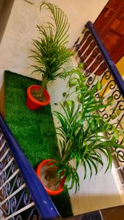 SK Residency - Varanasi - 8