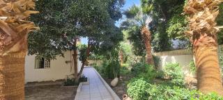 Senmut Luxory Rooms - Luxor - 2