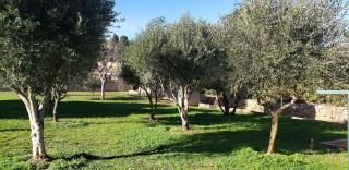 Villa Sainte Roseline, Climatisation, Jardin et BBQ! - Les Arcs-sur-Argens - 7
