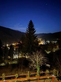 Stone House Sinaia - Sinaia - 4