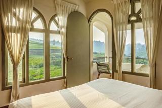 Mango Hill Shola Ooty - Ooty - 9