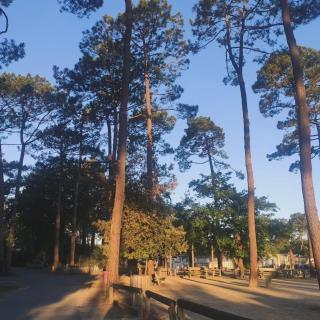 CAP FERRET L'escale Mobil-home 6 à 8 personnes - Lège-Cap-Ferret - 5