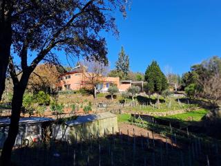 Quinta dos Sarilhos - Pedrógão Grande - 8