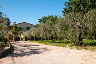 Podere San Biagio - Capalbio - 7