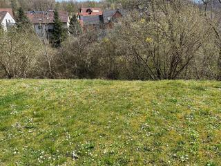 Ferienwohnung Sonnengarten - Heiligenstadt - 2