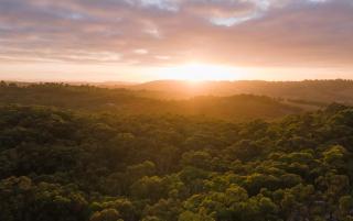 Serenity Abode by Tiny Away - Beaconsfield Upper - 4