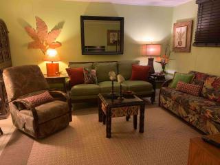 2521 ALOHA! King Bed with Sleeper Sofa! - Galveston - 5