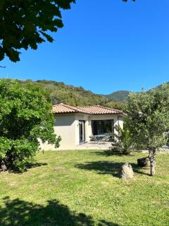 Casuccia Eva maria - Patrimonio - 6