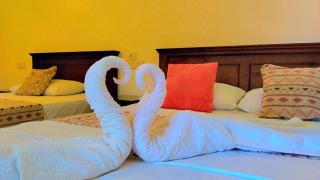 Kandy Inn by Moon hills - Kandy - 0