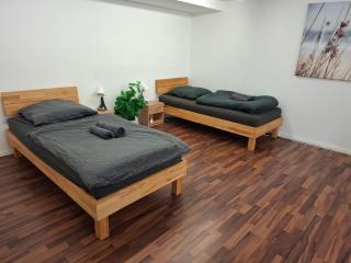 Gemütliches Apartment - Giengen an der Brenz - 1
