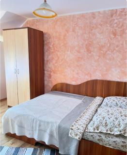 Casa de vacanța Ariana - Borşa - 1