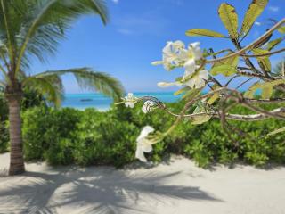 Mbaliparadise - Jambiani - 4