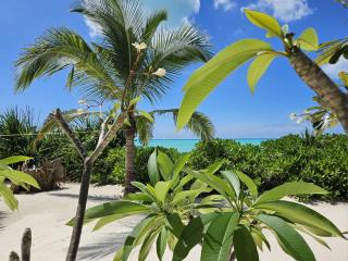 Mbaliparadise - Jambiani - 3