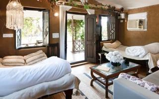 Rural Sense Organic Farm Stay - Faridabad - 3