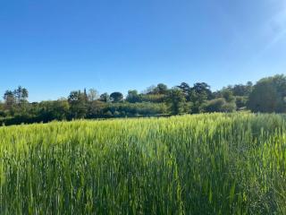 Domaine de Vadel - Veilhes - 7