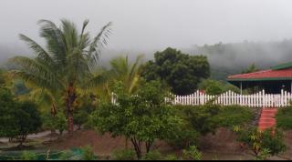 Pai Farm - Jāmb - 1