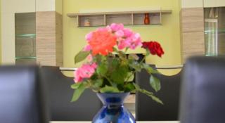 Apartman Šušić - Rupalj - 9
