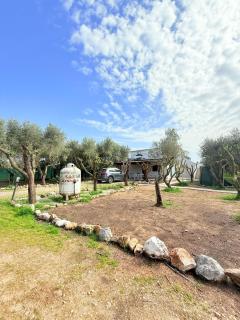 La Perla di Dea - Lido Di Fondi - 0