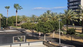 GEMELOS 24 1- k - Benidorm - 2