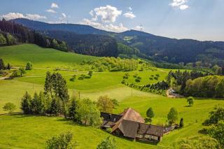 Schwarzwaldliebe - Oberharmersbach - 9