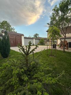 Golden House - 6
