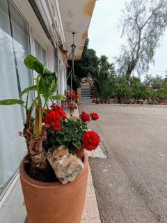 Casa Chalet Venta Ruizo - Lorca - 3