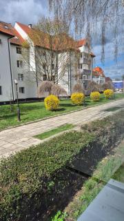 Tudor Central Apartment - Bistriţa - 0