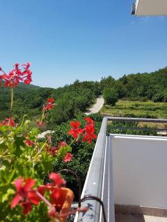 Zen Escape - Private Pool - Ostrvica - 9