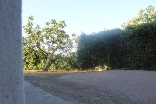 Villa Baisi - Ravi - 6