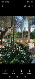 Estudio Venta Ruizo - Lorca - 9