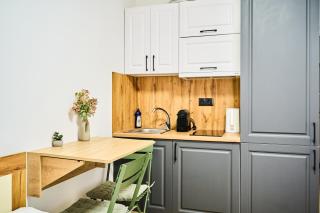 Cozy One-Room Apartment - Chişinău - 2