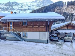 Apartment Schwendi 3 by Interhome - Grindelwald - 6