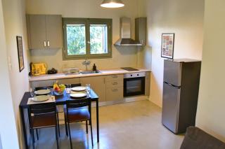 Olive tree house - 6