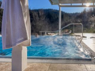 Landhotel GUT MOSER - Leutschach - 7